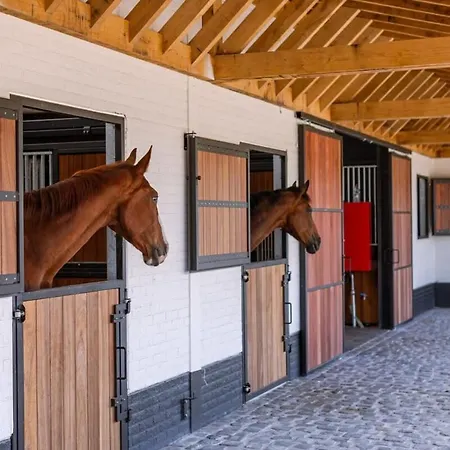 Huswell - Lady - Lovely Double At Ranch De Blauwe Zaal