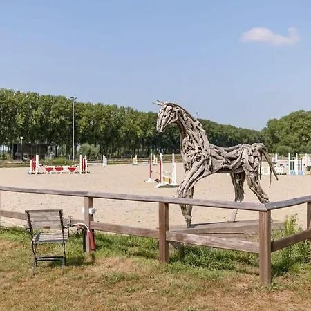 Ferienhaus Huswell - Lady - Lovely Double At Ranch De Blauwe Zaal