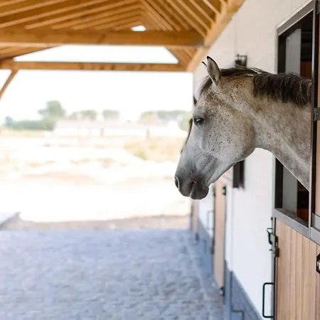 Huswell - Lady - Lovely Double At Ranch De Blauwe Zaal Сasa de vacaciones Brujas